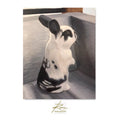 Black and white rabbit in a gray box with 'Roman' signature at the bottom.