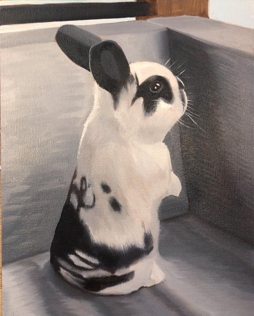 White rabbit with black markings sitting on a gray surface