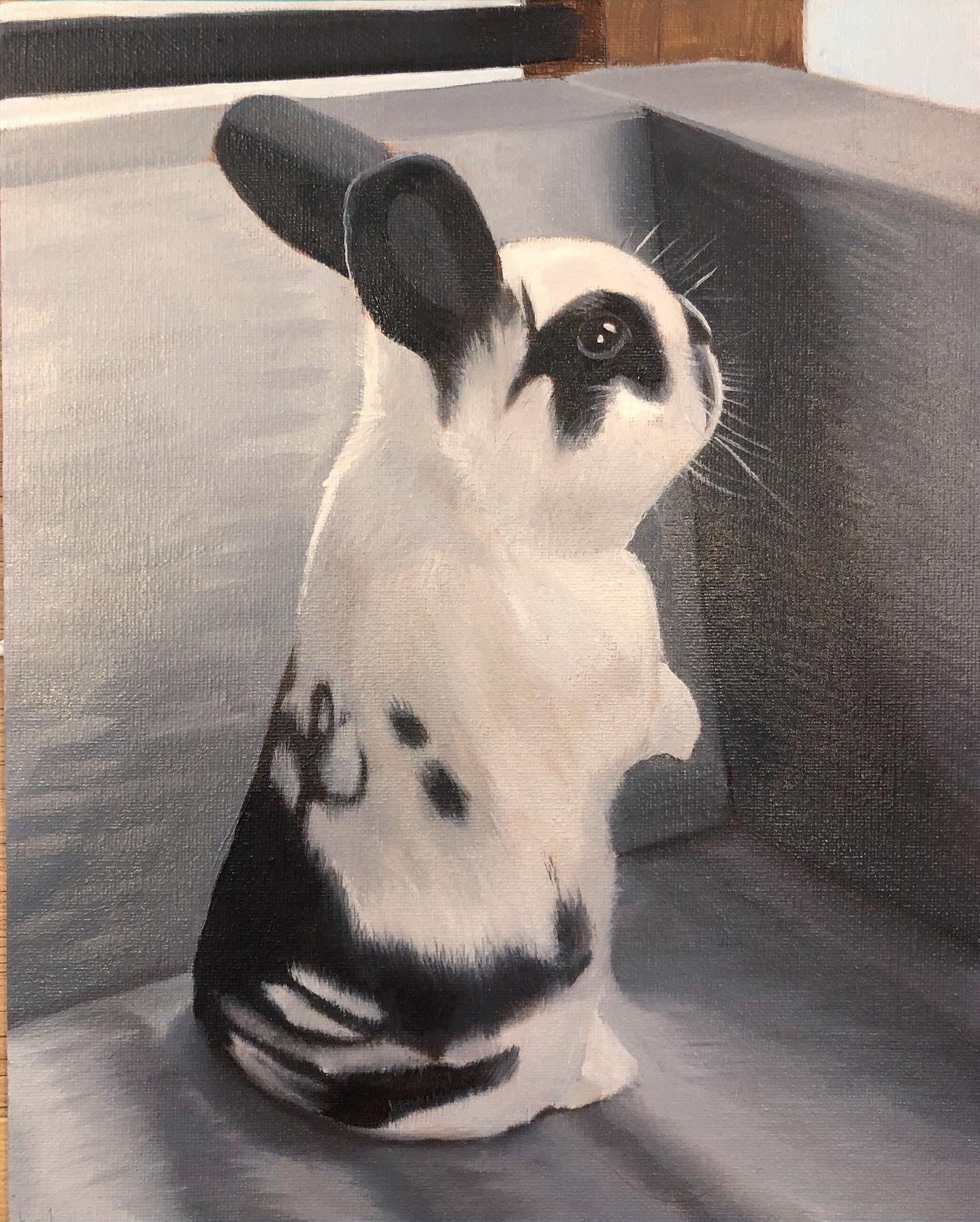 White rabbit with black markings sitting on a gray surface