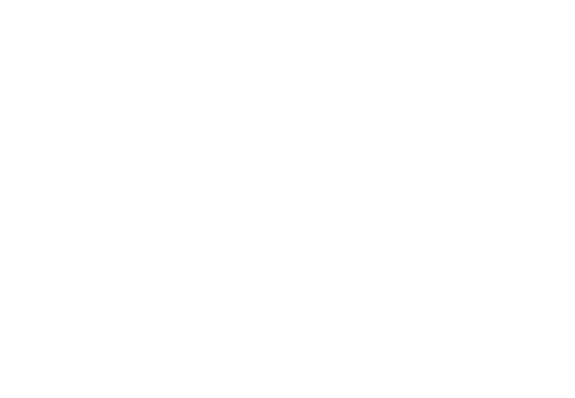 Roman van Gelder Fine Art