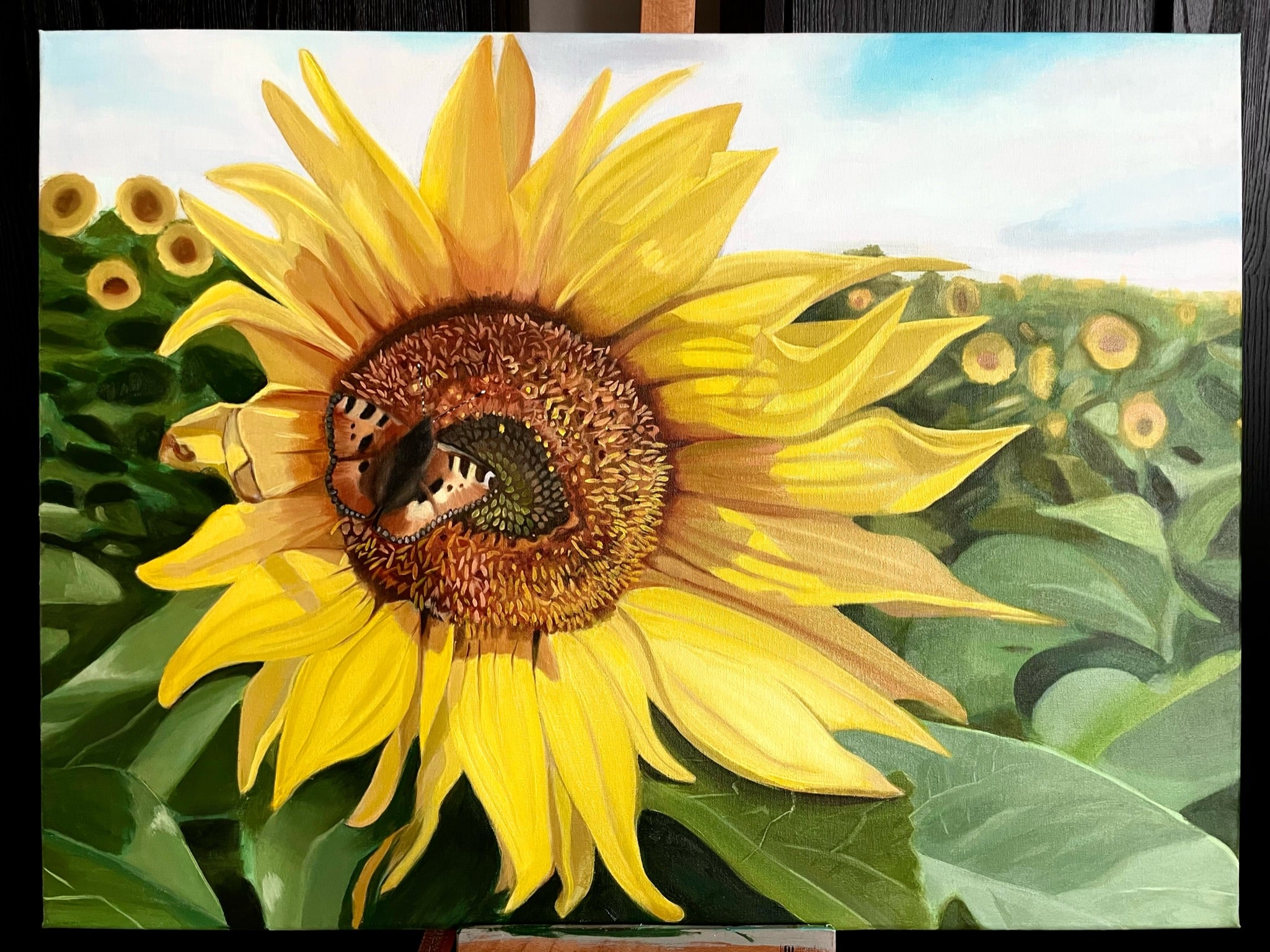 Sunflower with a bee in a field of sunflowers