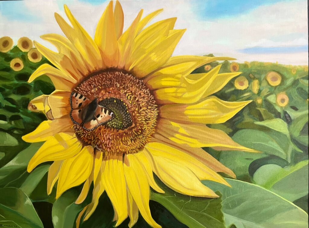 Oil Painting | Sunflower Fields | Sold